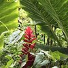 B44f81b38a61cd99d068-avatar-image-100x