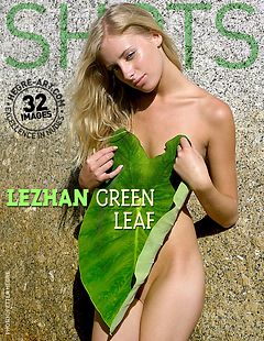 Lezhan grünes Blatt